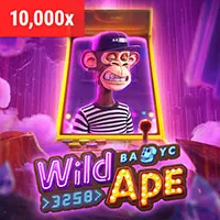 Câu hỏi thường gặp về 88new nhà cái